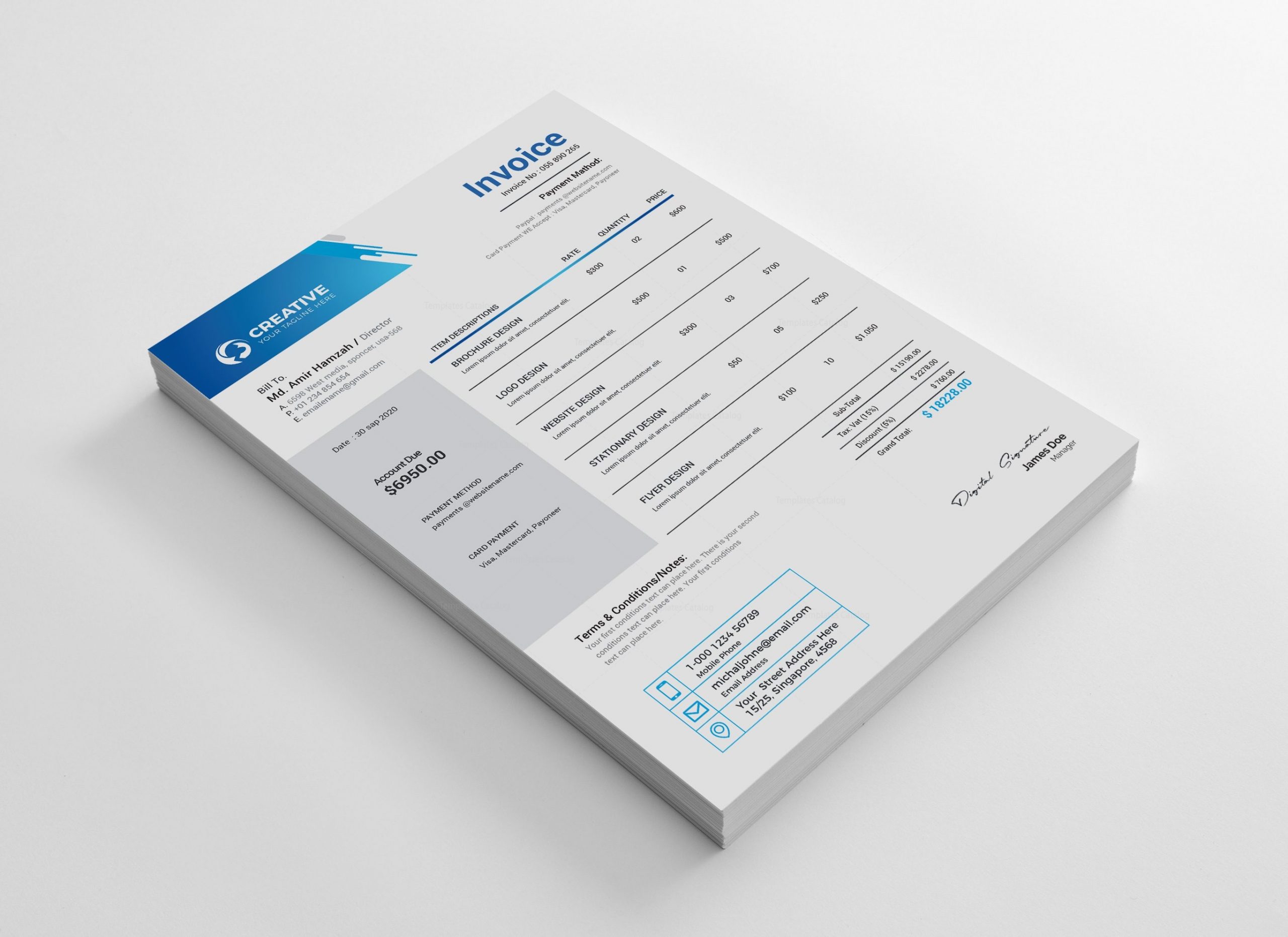 Creative Professional Invoice Design Template Templates Engine High Quality Templates Store