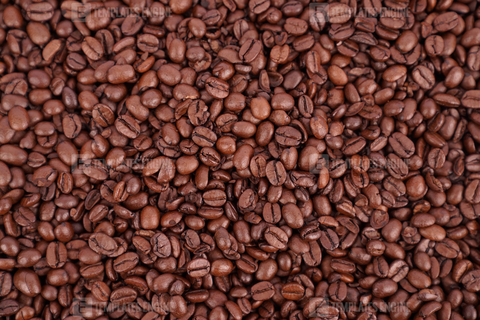 Quality roasted coffee beans stock image Templates Engine High
